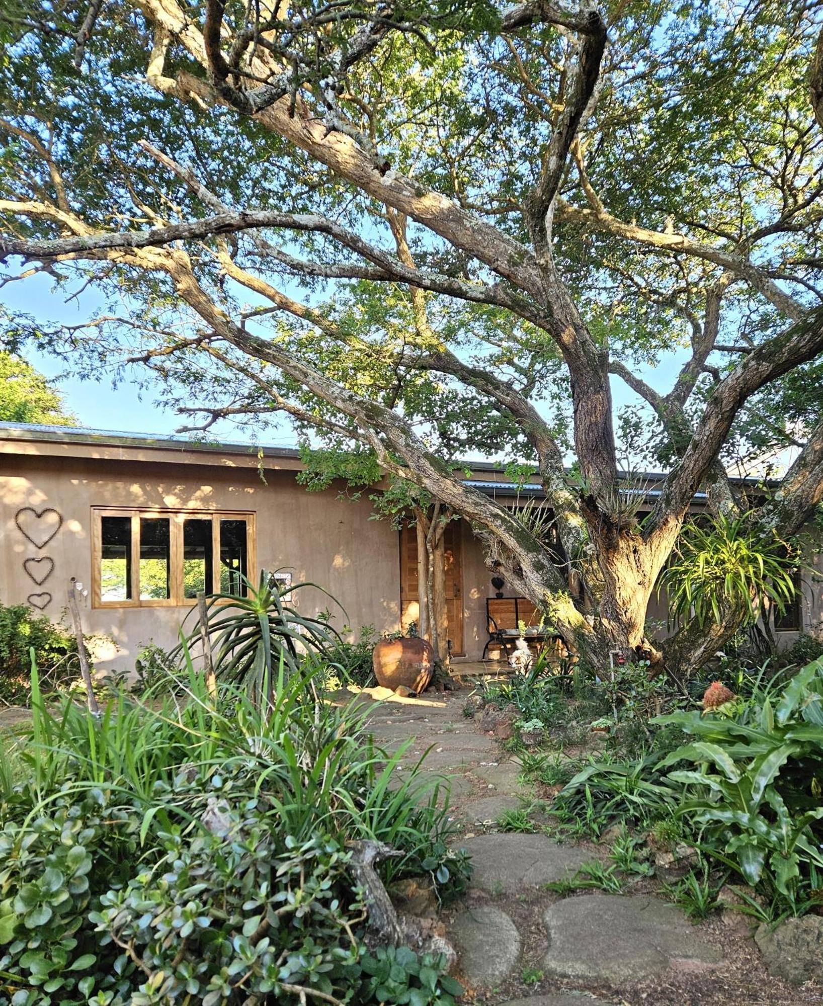 Tchagra House Villa Hluhluwe Eksteriør bilde